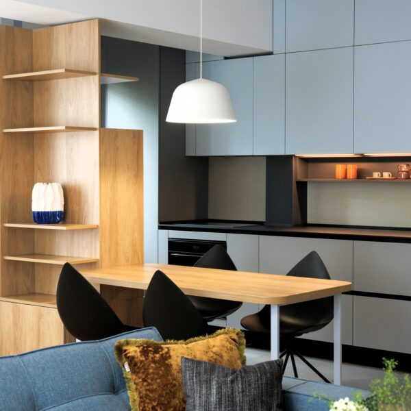 Apartament AUG 2024 Acromatic HD foto Andrei Gindac Two Bugs IX5A9478