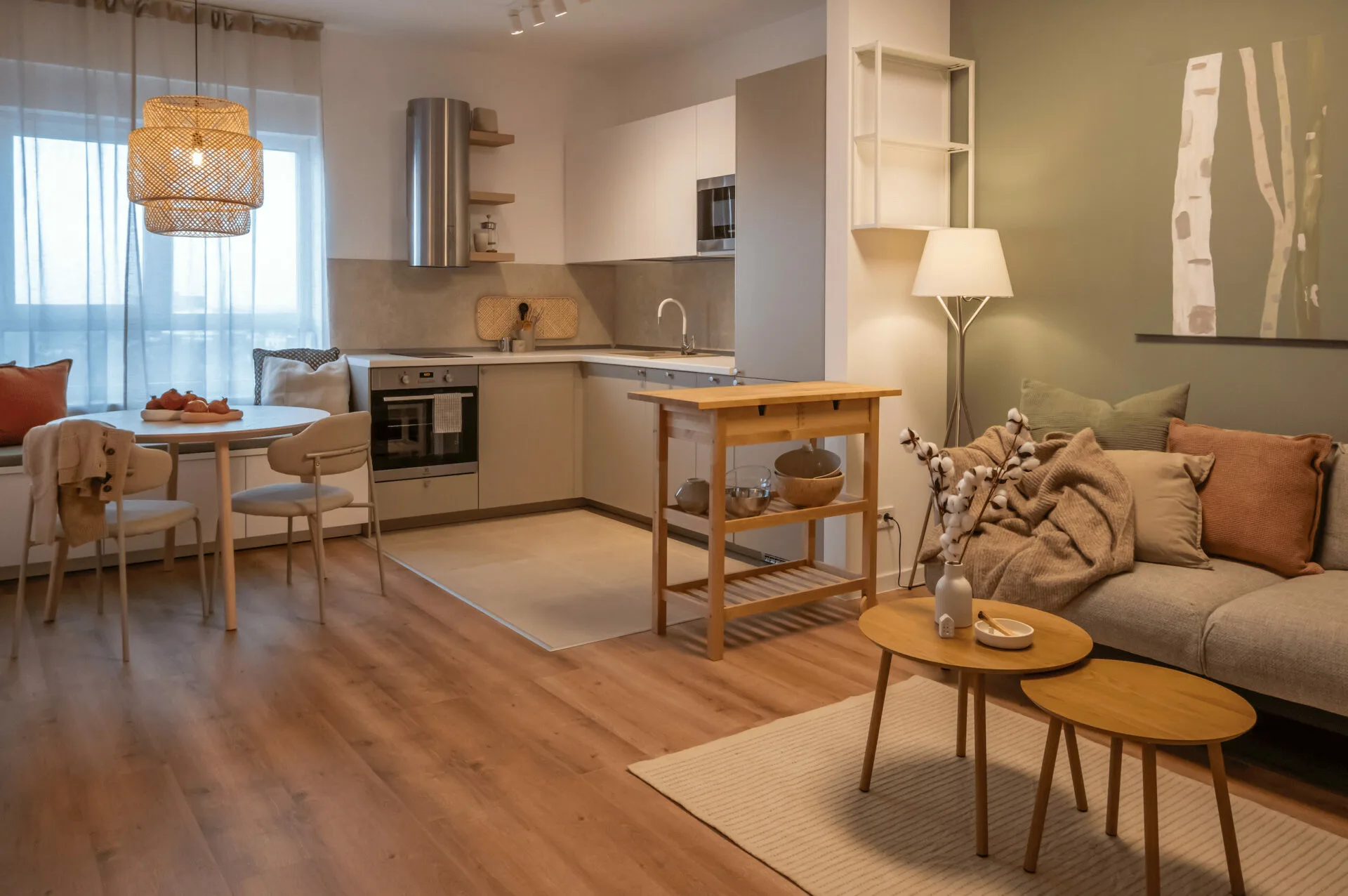 M1166 - The Japandi Flat